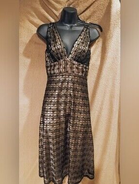 Maria Bianca Nero NWOT Sz S Black and Gold V-Neck Evening Dress